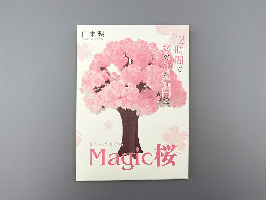 マジック桜箱画像